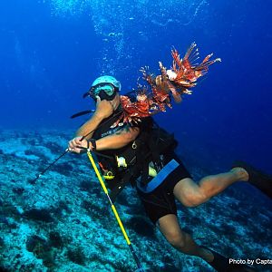 Lionfish Hunter