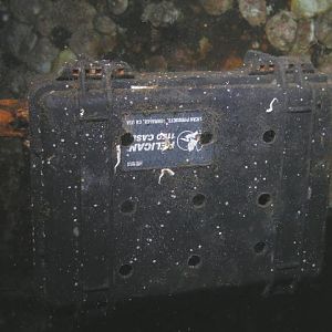 Oriskany divecache?