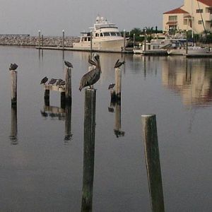 lazy Pensacola morning