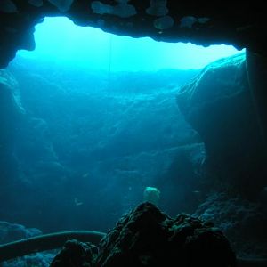 Vortex Spring