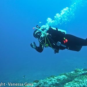 Happy Diver