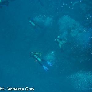 Divers Way Down