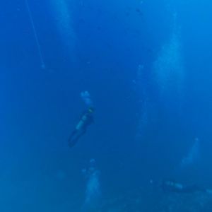 Diver Accent
