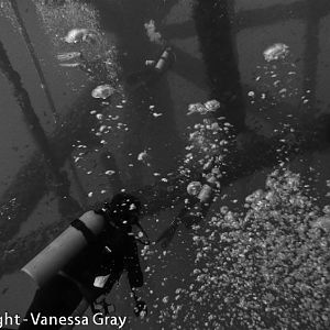 B&W Rig Diver