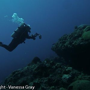 Diver Silhouette