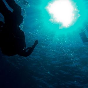 Diver in the Sun