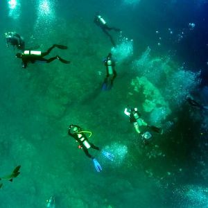 PIC_0764