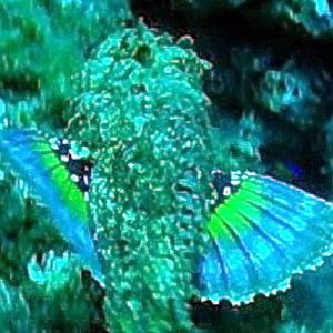 PIC_0901-002_1