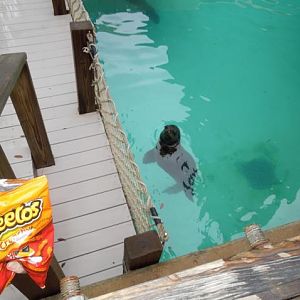Mmmm Cheetos