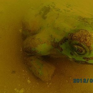 Athens Scuba Park, May 2012