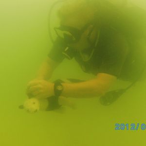 Athens Scuba Park, May 2012