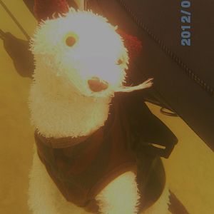 Athens Scuba Park, May 2012