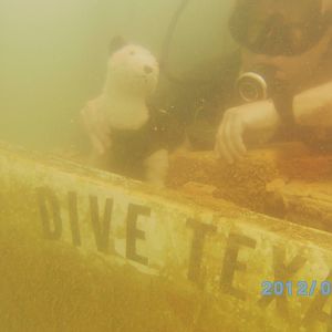 Athens Scuba Park, May 2012