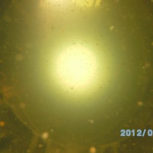 Athens Scuba Park, May 2012