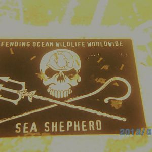 Athens Scuba Park, May 2012