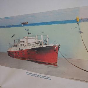 Where we wanted to dive