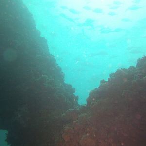 PICT0544