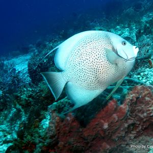 IMG_15431