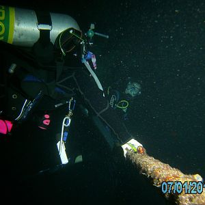 Australia_Underwater_2012_173