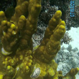 Australia_Underwater_2012_360