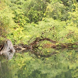 Australia Surface Intervals