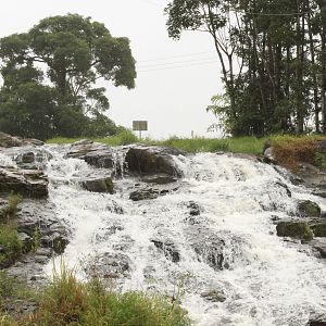 Australia Surface Intervals
