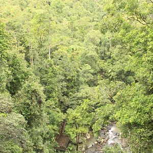 Australia Surface Intervals