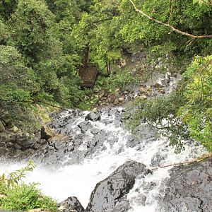 Australia Surface Intervals