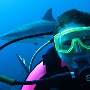 K-Jenn_Diver_Brenda_with_Shark-0590
