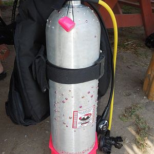 starfish's bedazzled tank