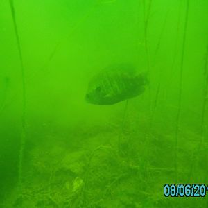 Lake 288 - August 2012