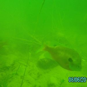 Lake 288 - August 2012