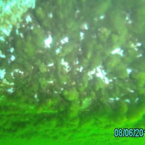 Lake 288 - August 2012