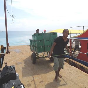 the beer delivery guy