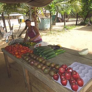 farm stand