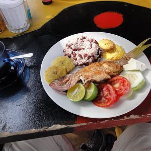 Breakfast for divers