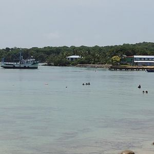 The ferry terminal