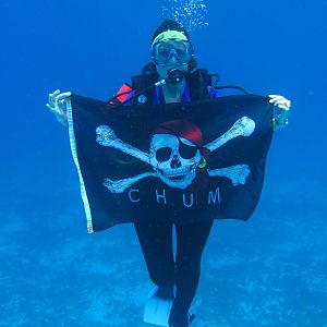Heidi Ho - Dry Tortugas Julie