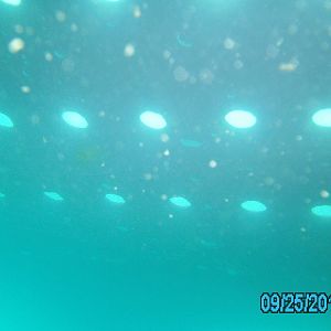 Dive Pirates Chili Cookoff and Scavenger Hunt