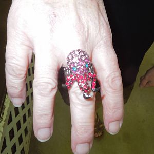 Sharksnak's new ring
