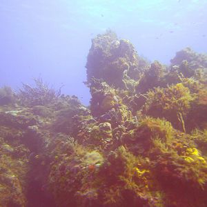 Cozumel Dive Trip October 2012: my first blue water