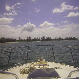 Cozumel Dive Trip October 2012: my first blue water