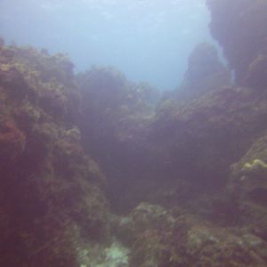 Cozumel Dive Trip October 2012: my first blue water