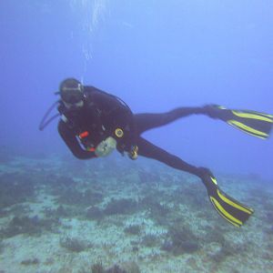 Cozumel Dive Trip October 2012: my first blue water