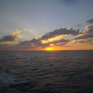 Cozumel Dive Trip October 2012: my first blue water