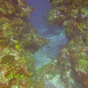Cozumel Dive Trip October 2012: my first blue water