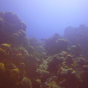 Cozumel Dive Trip October 2012: my first blue water