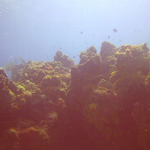 Cozumel Dive Trip October 2012: my first blue water