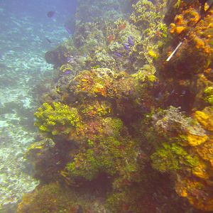 Cozumel Dive Trip October 2012: my first blue water