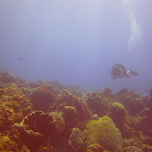 Cozumel Dive Trip October 2012: my first blue water